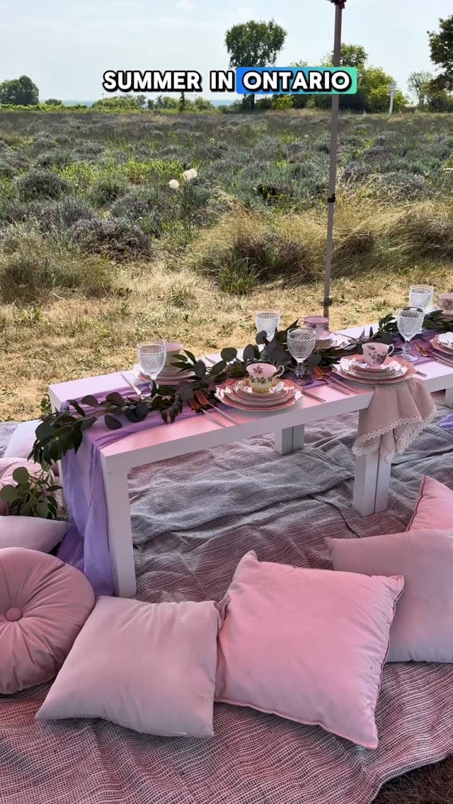 Post 3 by Sweet Bee Tea Party on Instagram (video)