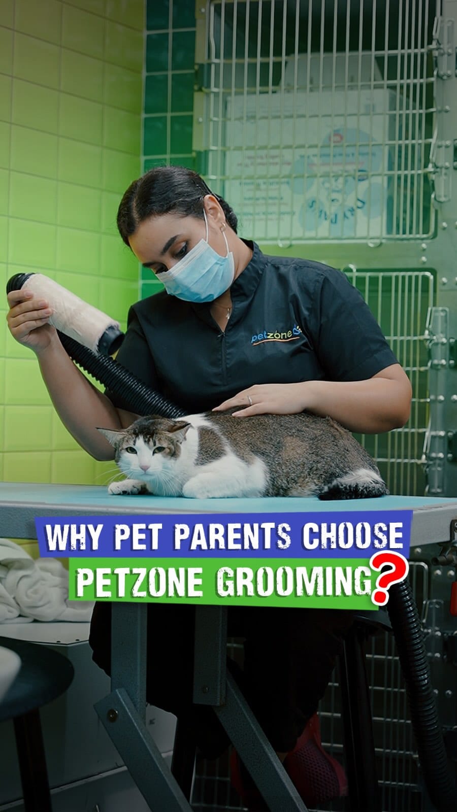 Post 9 by Petzone UAE | بت زون الإمارات on Instagram (video)