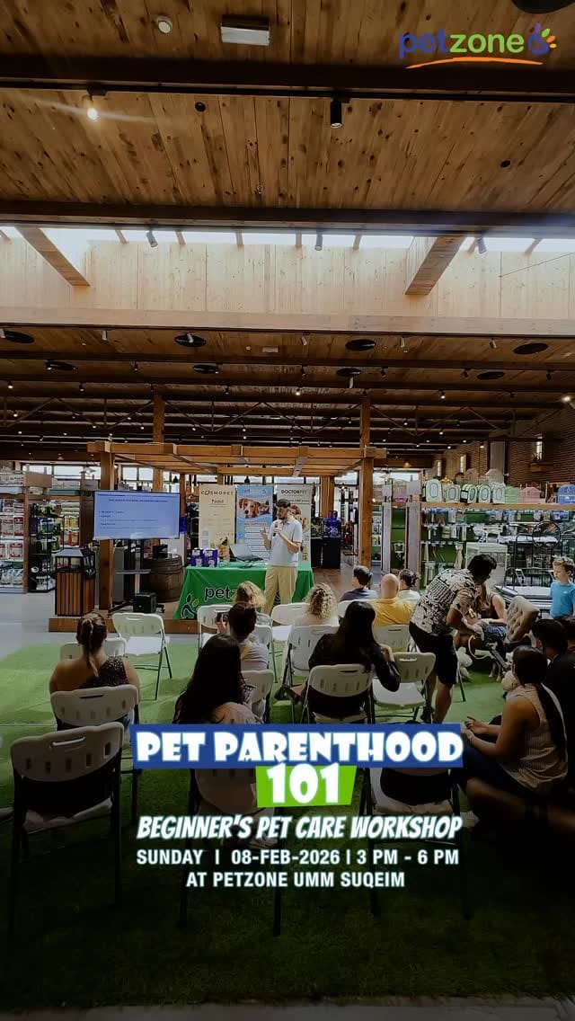 Post 4 by Petzone UAE | بت زون الإمارات on Instagram (video)