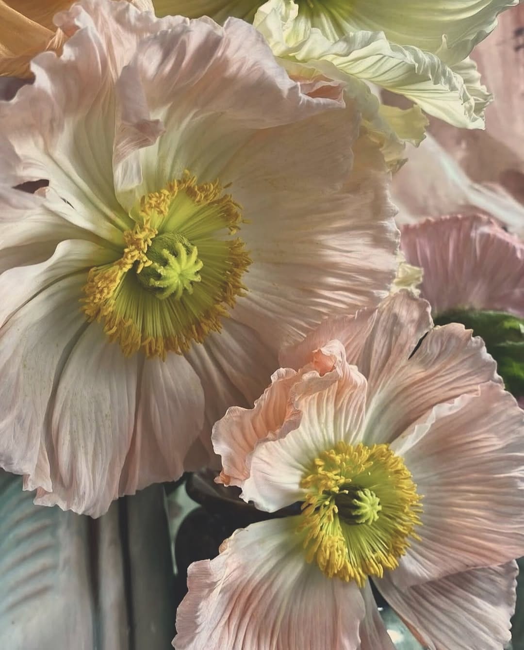 Post 7 by Mi Mujer Atelier on Instagram (image)