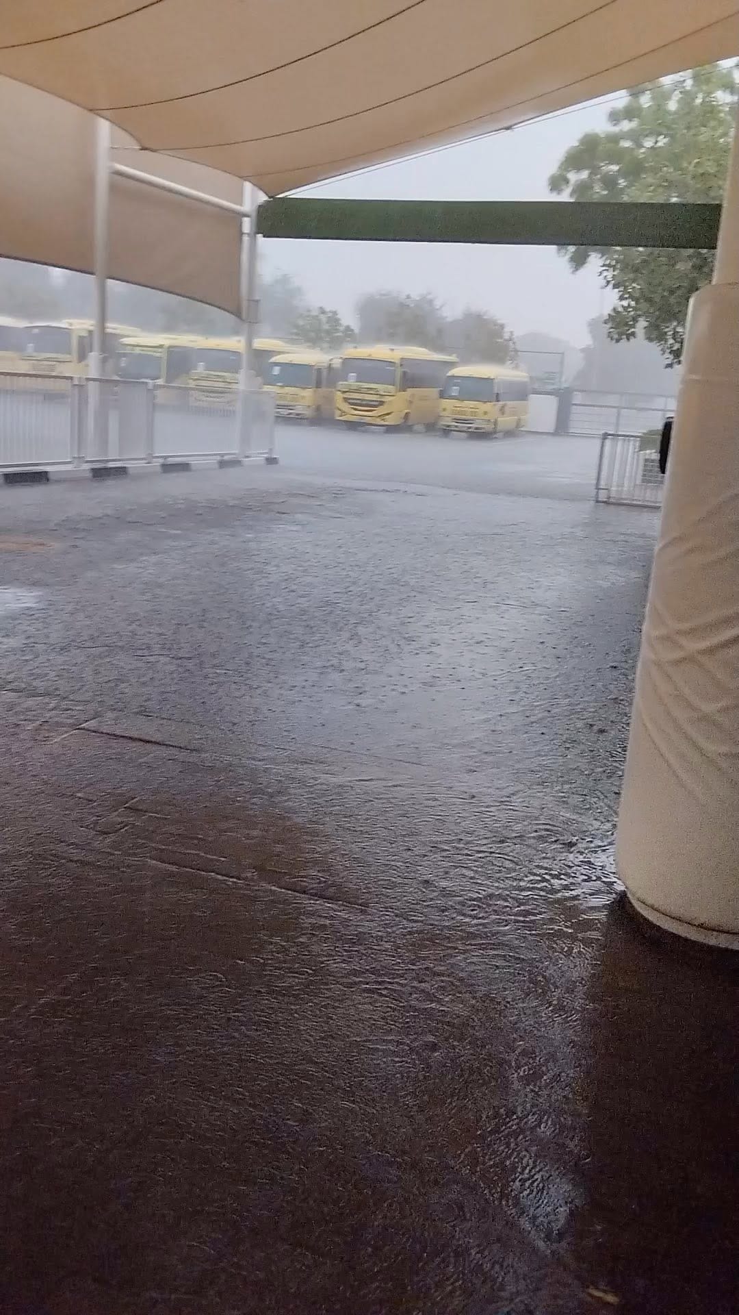 Post 2 by Sabina bano on Instagram (video)