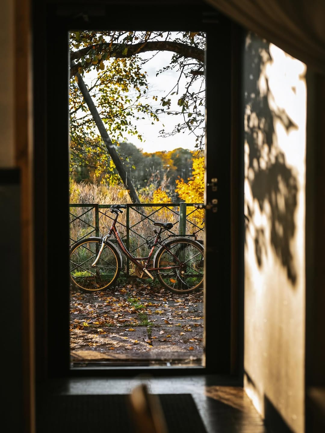Post 3 by Ellen Rudi/ TALLINN, ESTONIA photographer on Instagram (carousel)