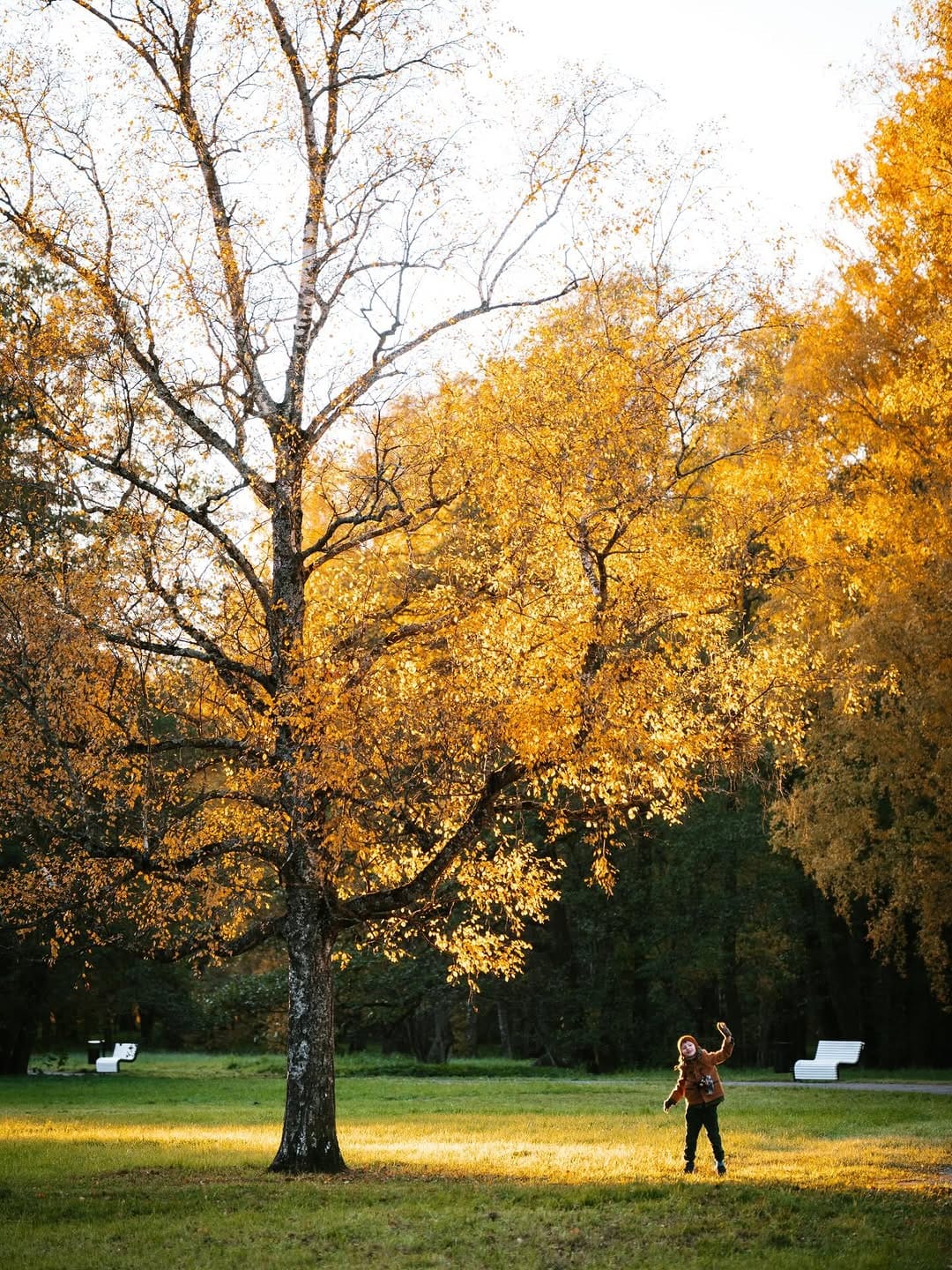 Post 1 by Ellen Rudi/ TALLINN, ESTONIA photographer on Instagram (carousel)