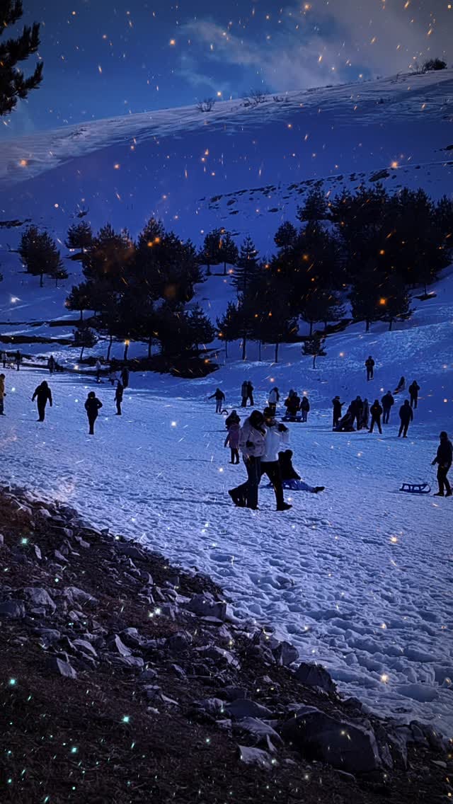 Post 3 by Mehmet Soylu on Instagram (video)