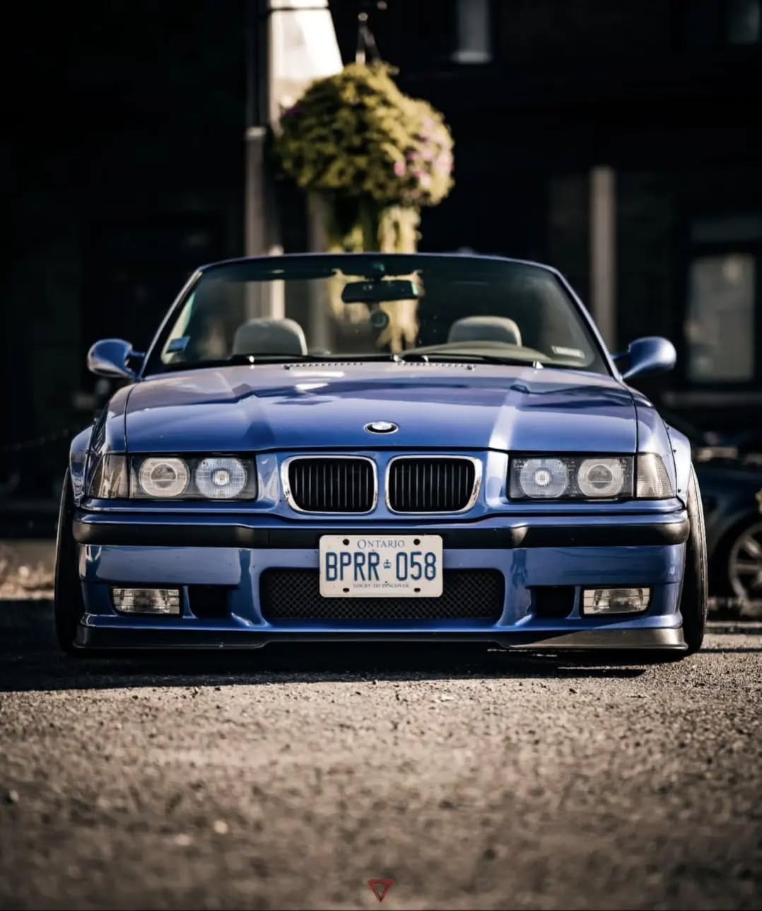 Post 7 by Damon on Instagram (image)