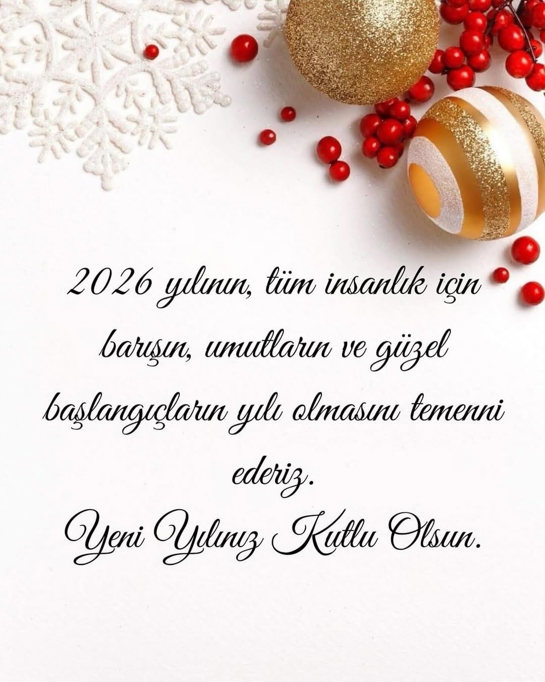 Post 4 by PNB TÜRKİYE on Instagram (image)