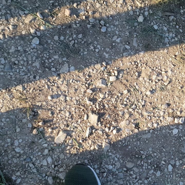 Post 6 by Caspar Trost on Instagram (video)