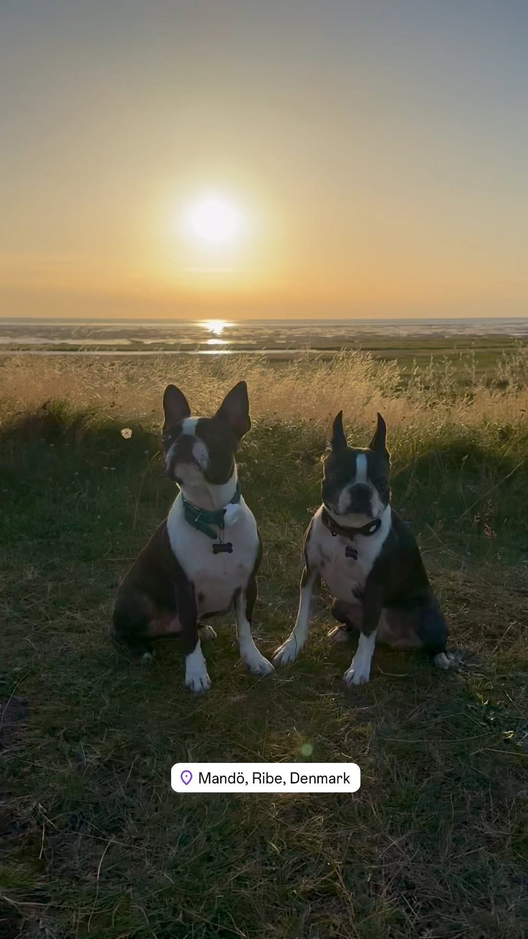 Post 10 by 𝕆𝕃𝔾𝔸 & ℝ𝕆𝕊𝕀𝔼 on Instagram (video)