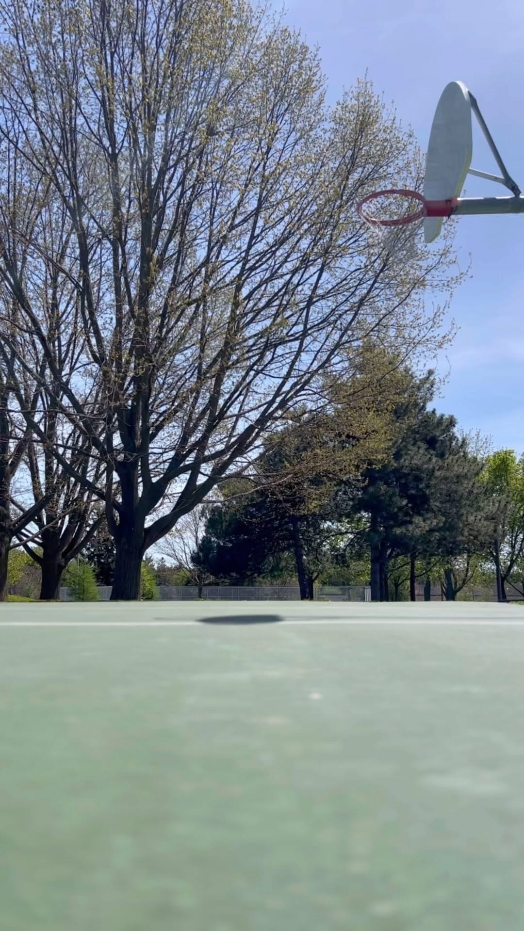 Post 8 by Mo on Instagram (video)