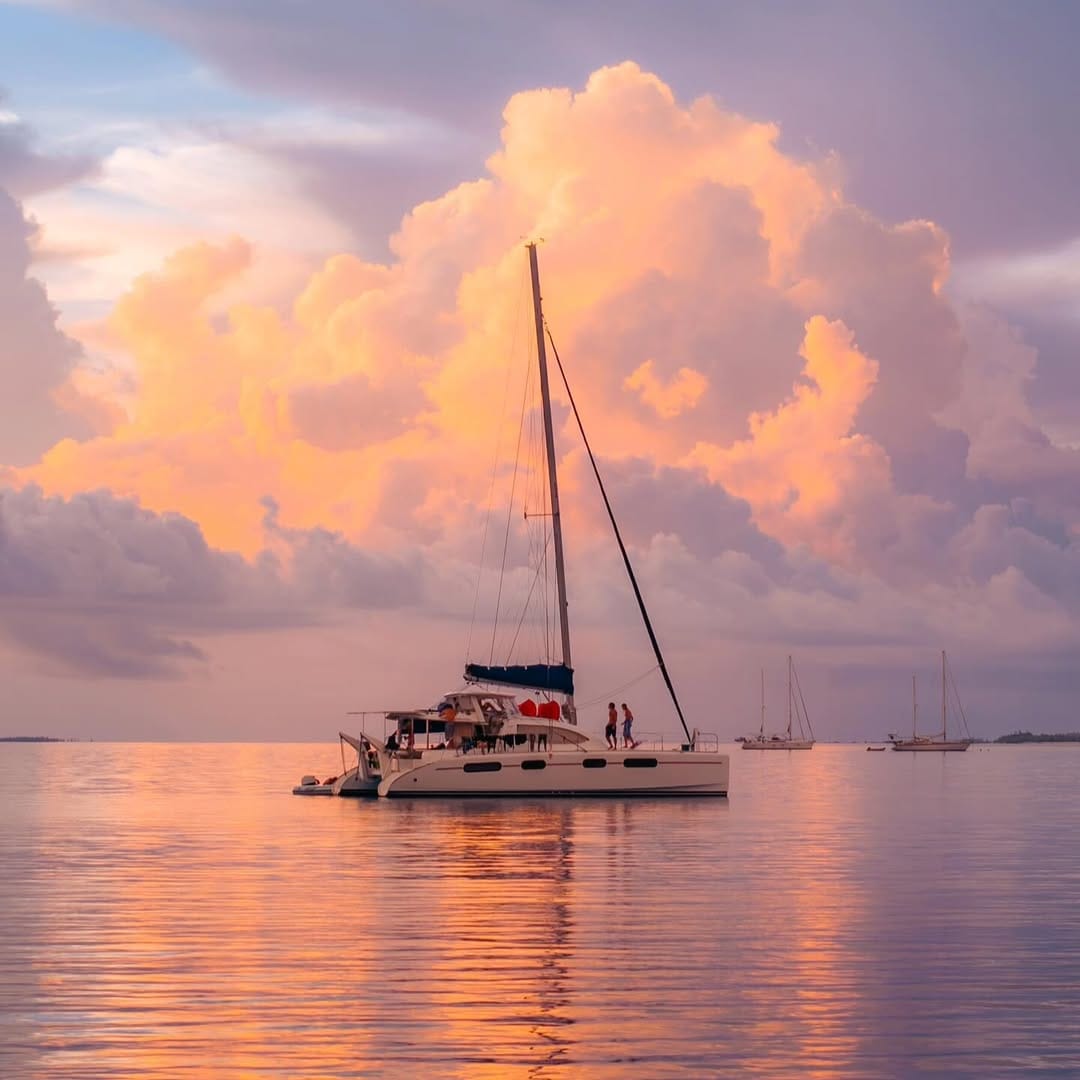 Post 2 by Sam Mason Smith on Instagram (image)