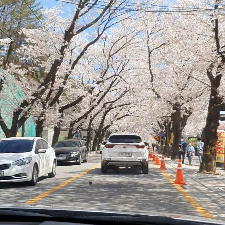 Post 9 by 반영구수강/평택눈썹문신/시선뷰티/남자눈썹문신/반영구학원 on Instagram (video)