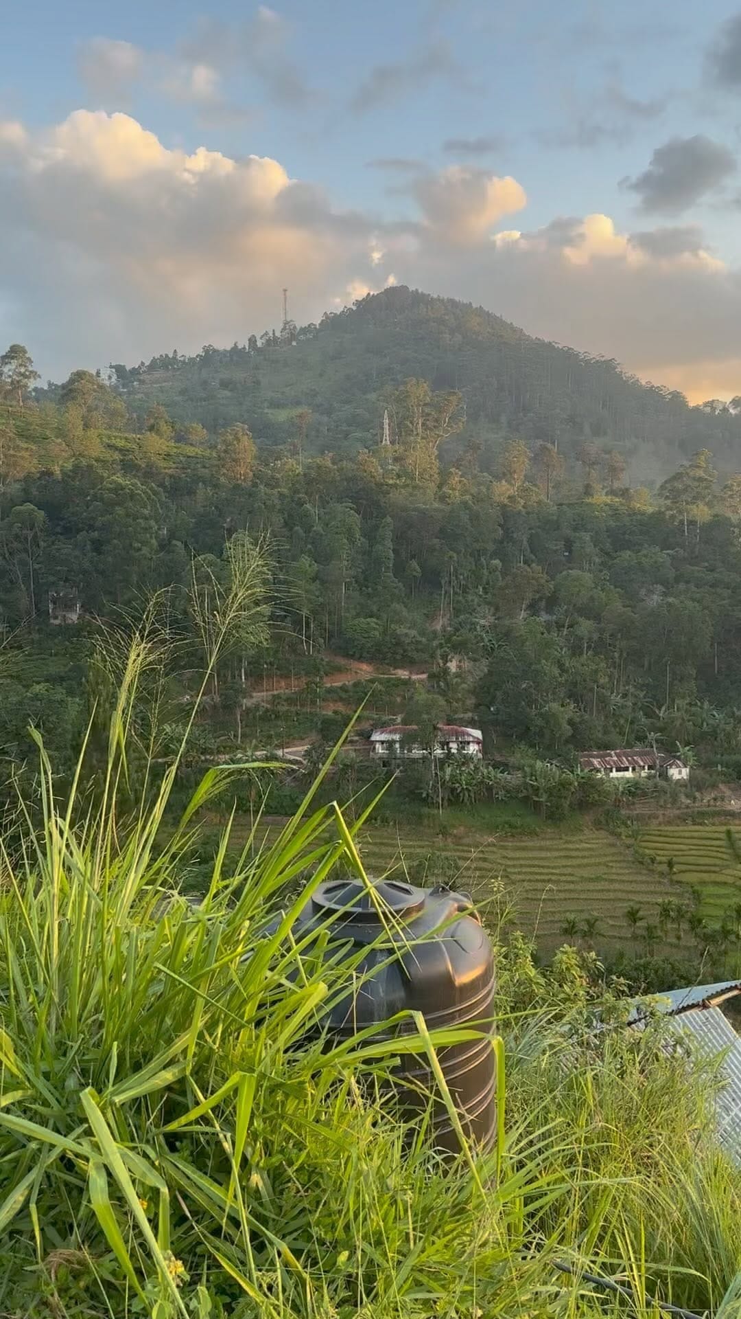Post 5 by Follow world silence on Instagram (video)