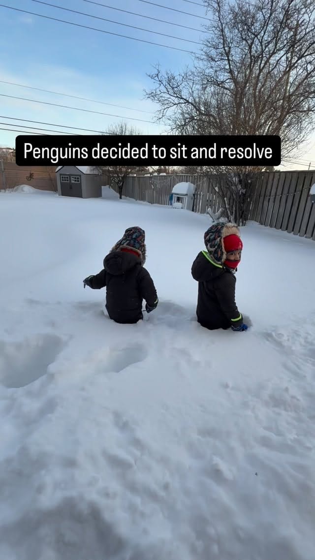 Post 5 by Shreyasi Srivastava Tapwal🇨🇦🇮🇳 on Instagram (video)
