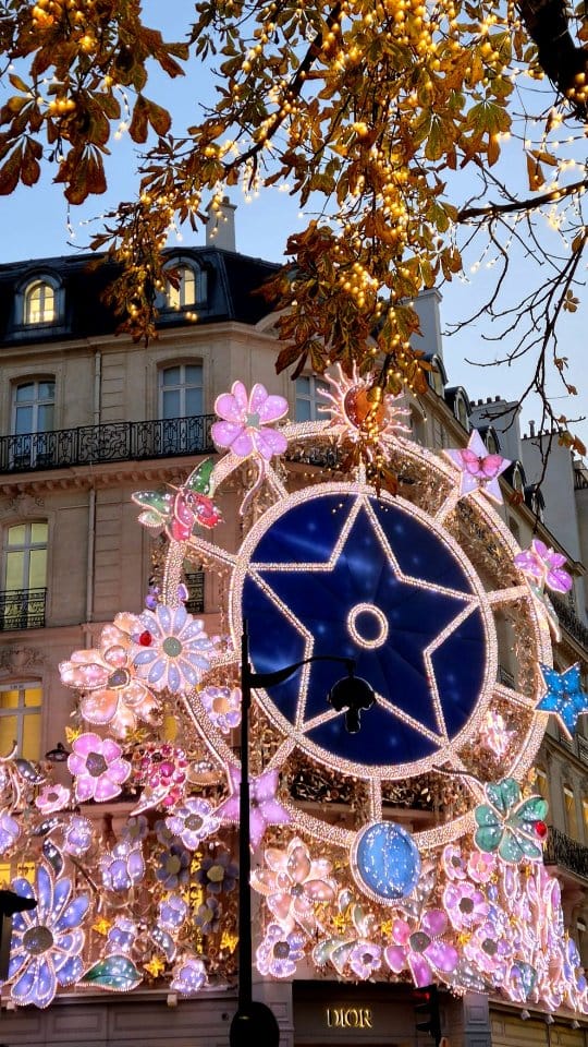 Post 6 by parisiantouch on Instagram (video)