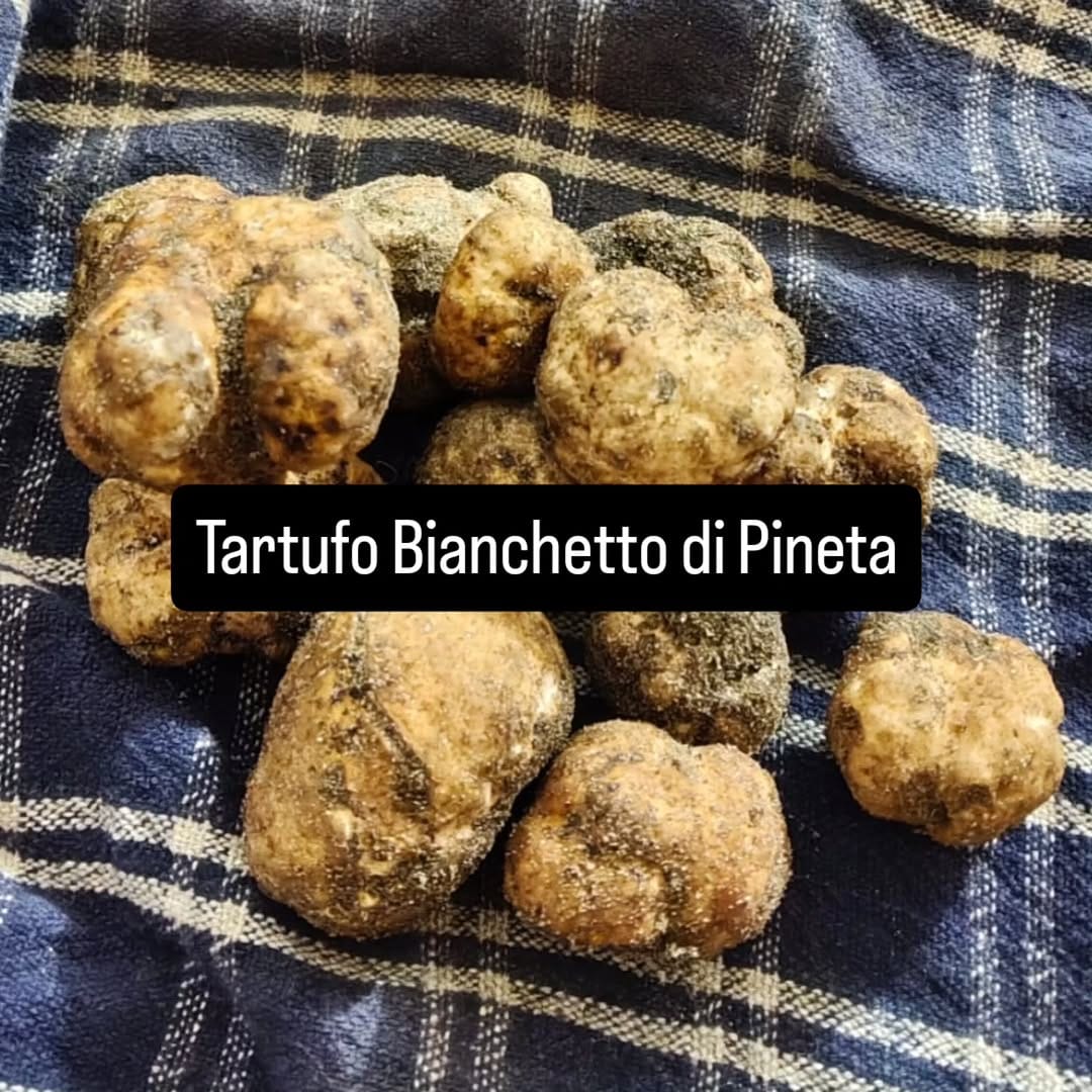 Post 1 by Tartufo on Instagram (image)