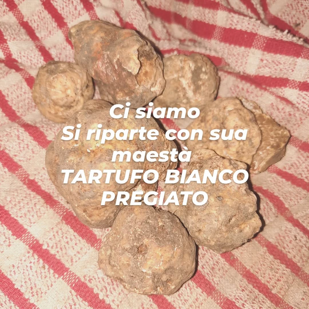 Post 4 by Tartufo on Instagram (image)
