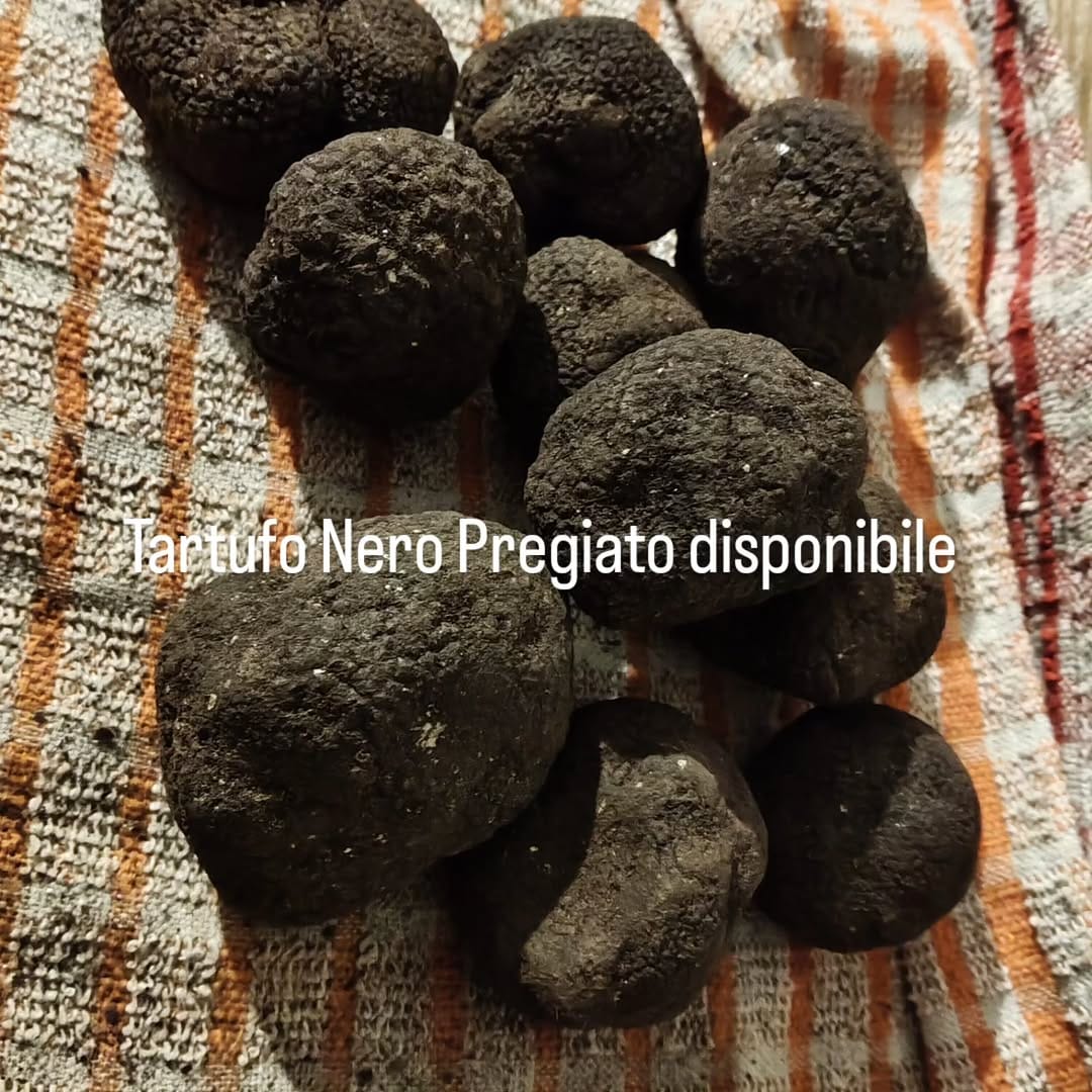Post 2 by Tartufo on Instagram (image)