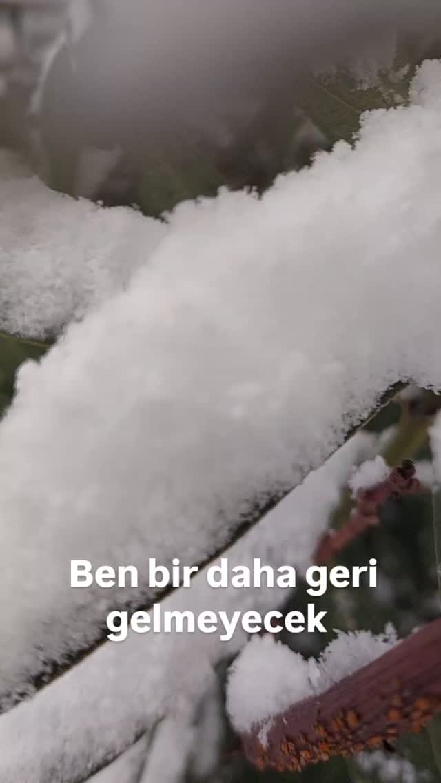 Post 5 by www.birdemliksohbet.com on Instagram (video)