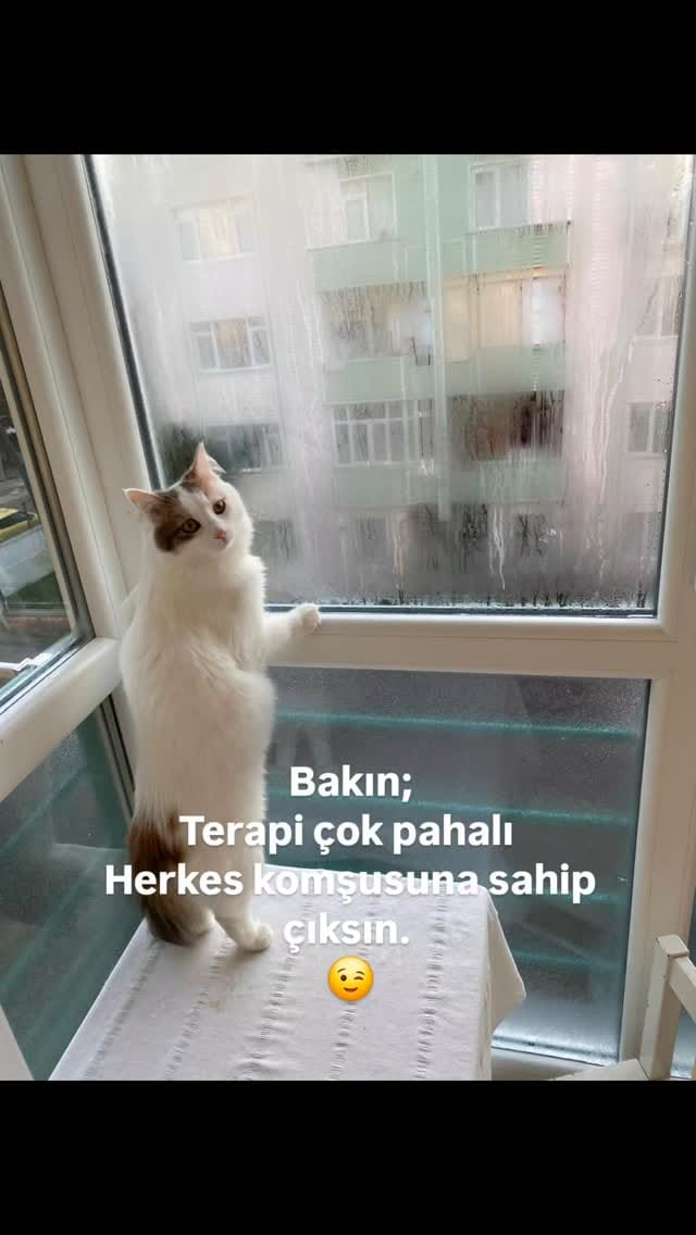 Post 8 by www.birdemliksohbet.com on Instagram (video)