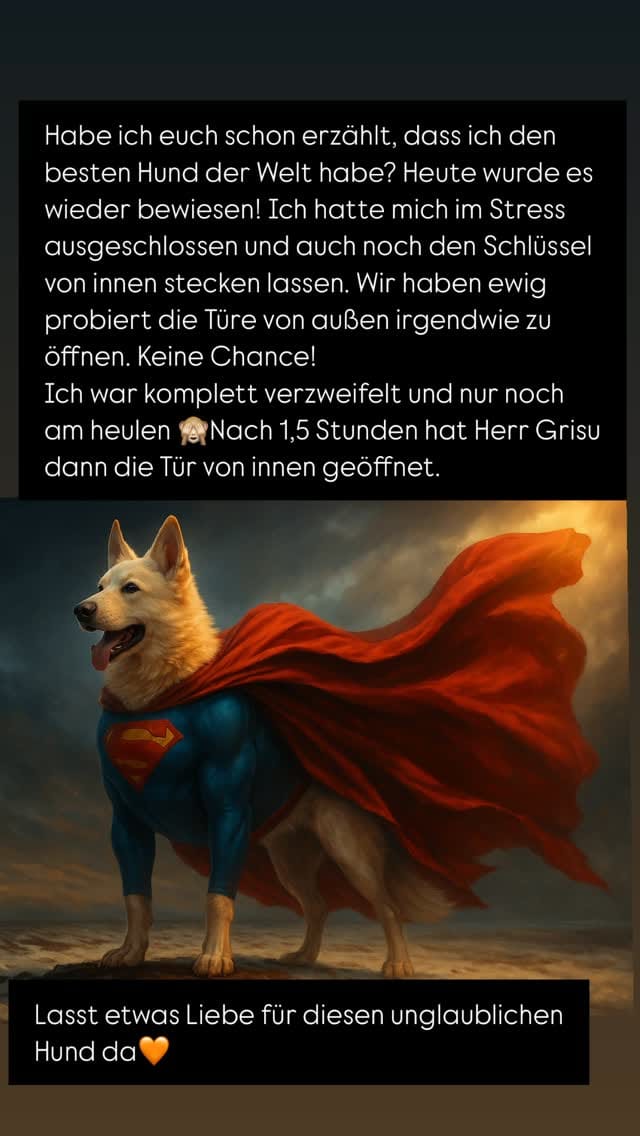 Post 8 by Hundezubehör 🐾Halsbänder🐾Leinen🐾Geschirre🐾Schlüsselanhänger 🐾 on Instagram (video)
