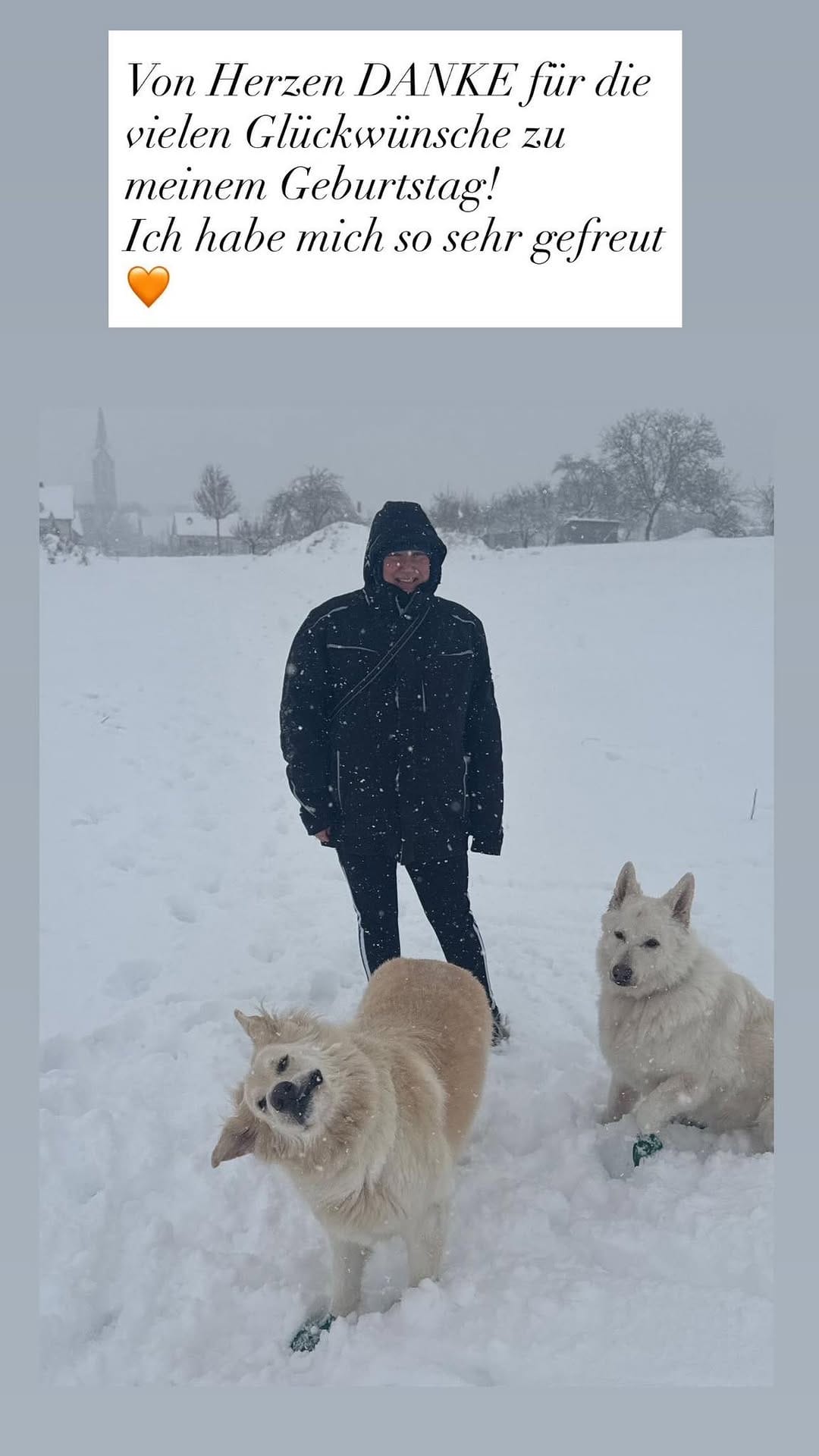 Post 1 by Hundezubehör 🐾Halsbänder🐾Leinen🐾Geschirre🐾Schlüsselanhänger 🐾 on Instagram (image)