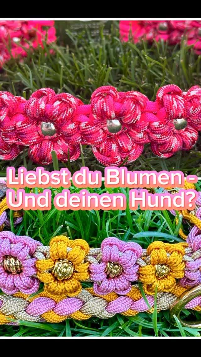 Post 6 by Hundezubehör 🐾Halsbänder🐾Leinen🐾Geschirre🐾Schlüsselanhänger 🐾 on Instagram (video)