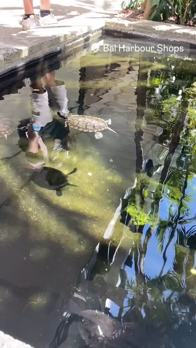 Post 10 by Asun Rodriguez on Instagram (video)