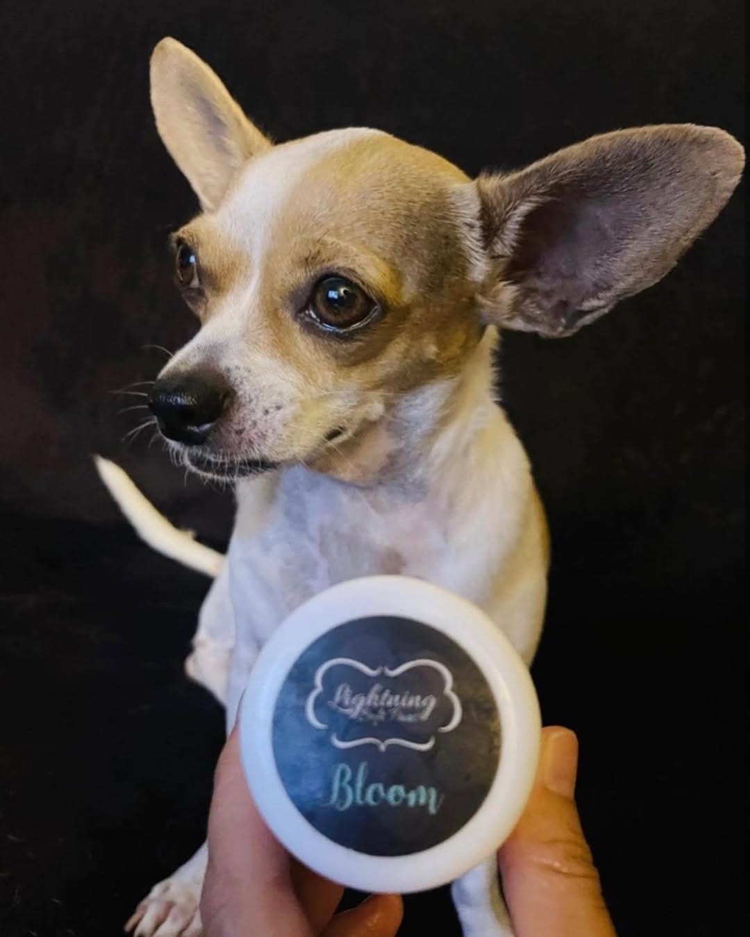 Post 1 by Lightning Soft Paws on Instagram (carousel)