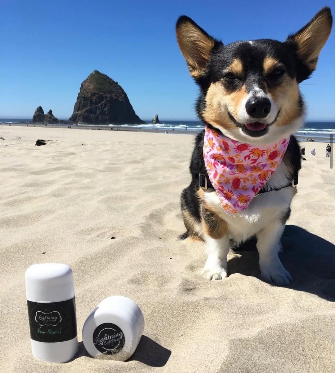 Post 2 by Lightning Soft Paws on Instagram (image)