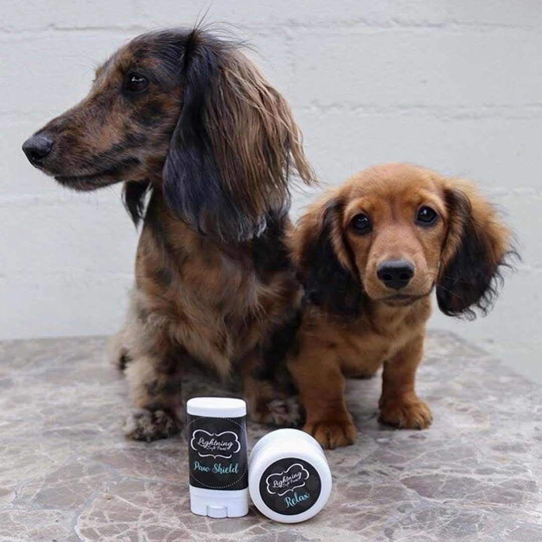Post 4 by Lightning Soft Paws on Instagram (image)