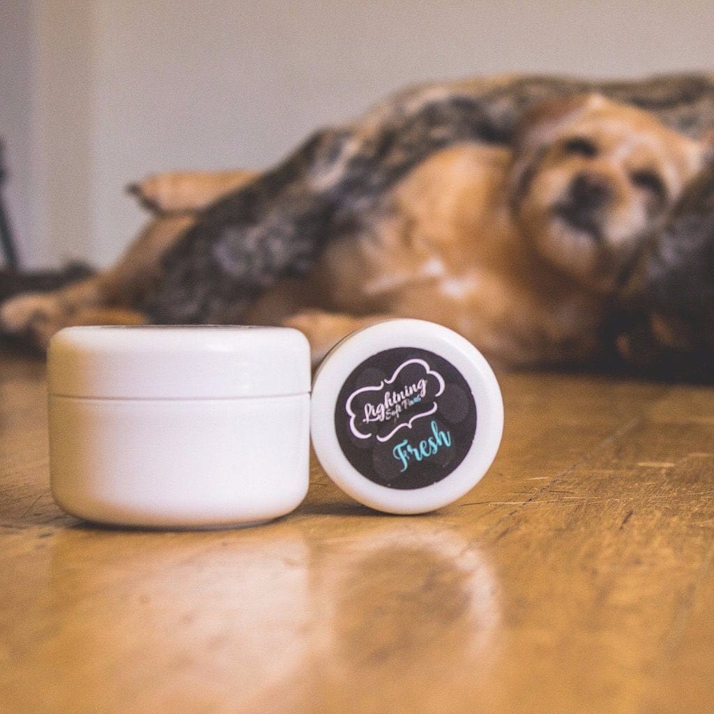 Post 3 by Lightning Soft Paws on Instagram (image)