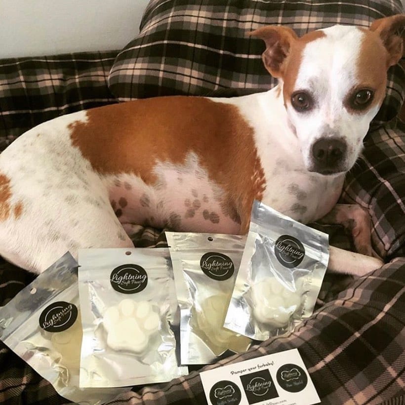 Post 10 by Lightning Soft Paws on Instagram (image)