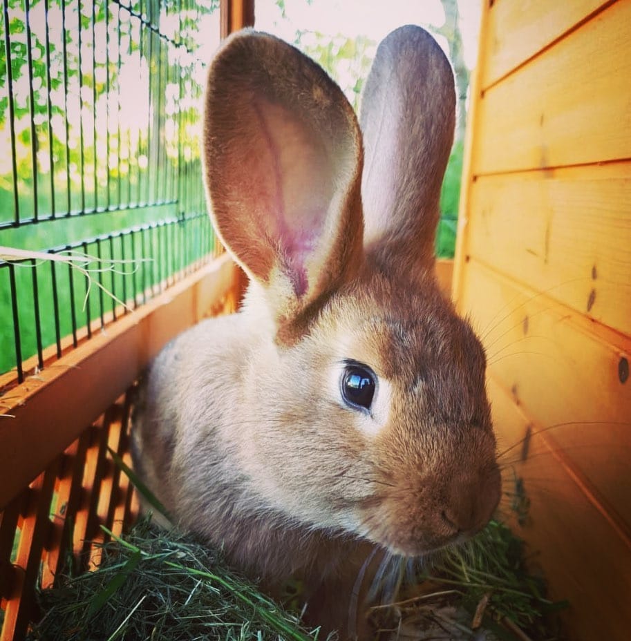 Post 8 by Jessi S on Instagram (image)