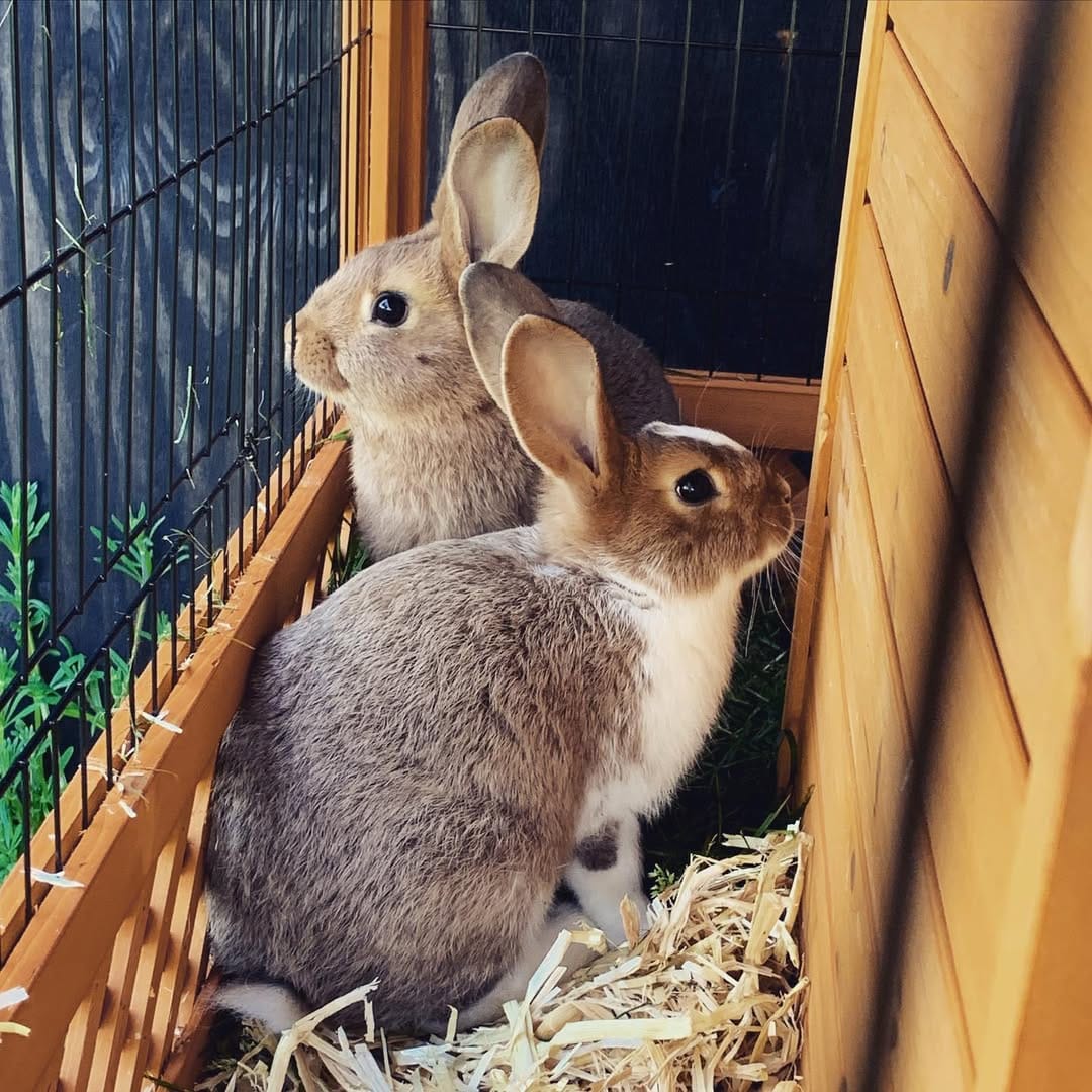 Post 9 by Jessi S on Instagram (image)