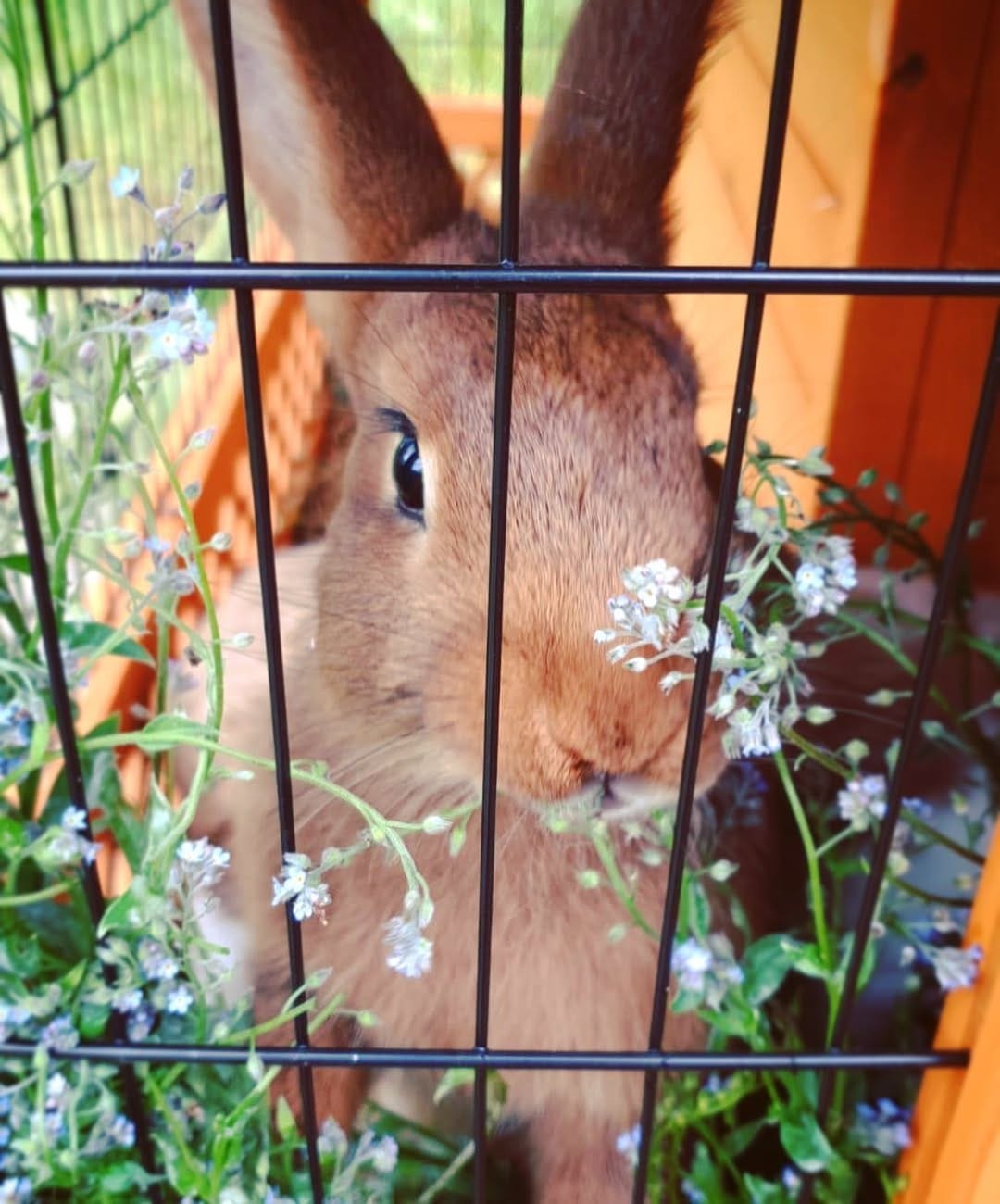 Post 6 by Jessi S on Instagram (image)
