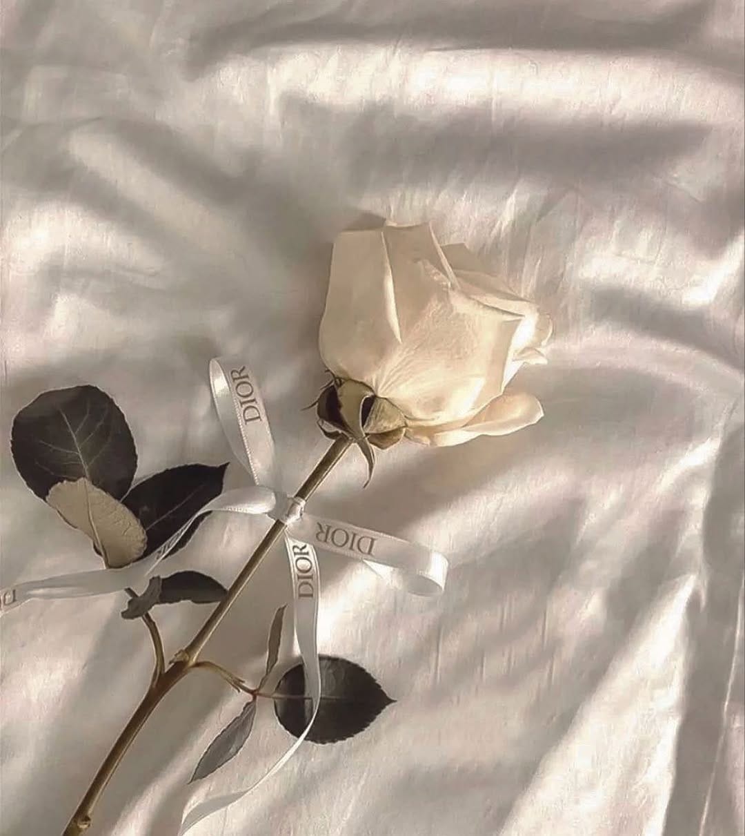 Post 9 by THE MODE on Instagram (image)