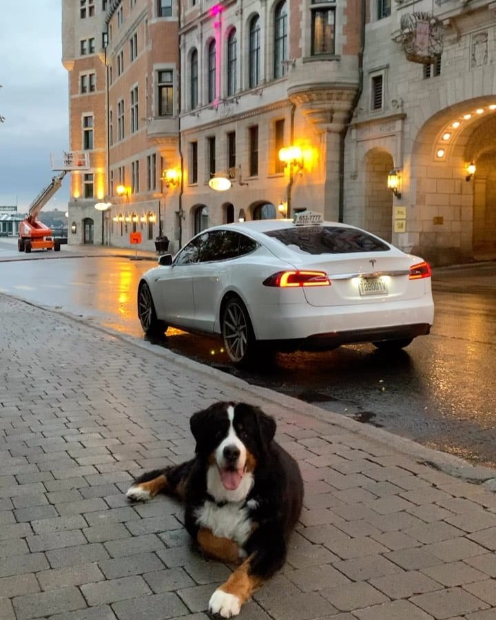 Post 7 by ⚡️🚖⚡️ on Instagram (video)