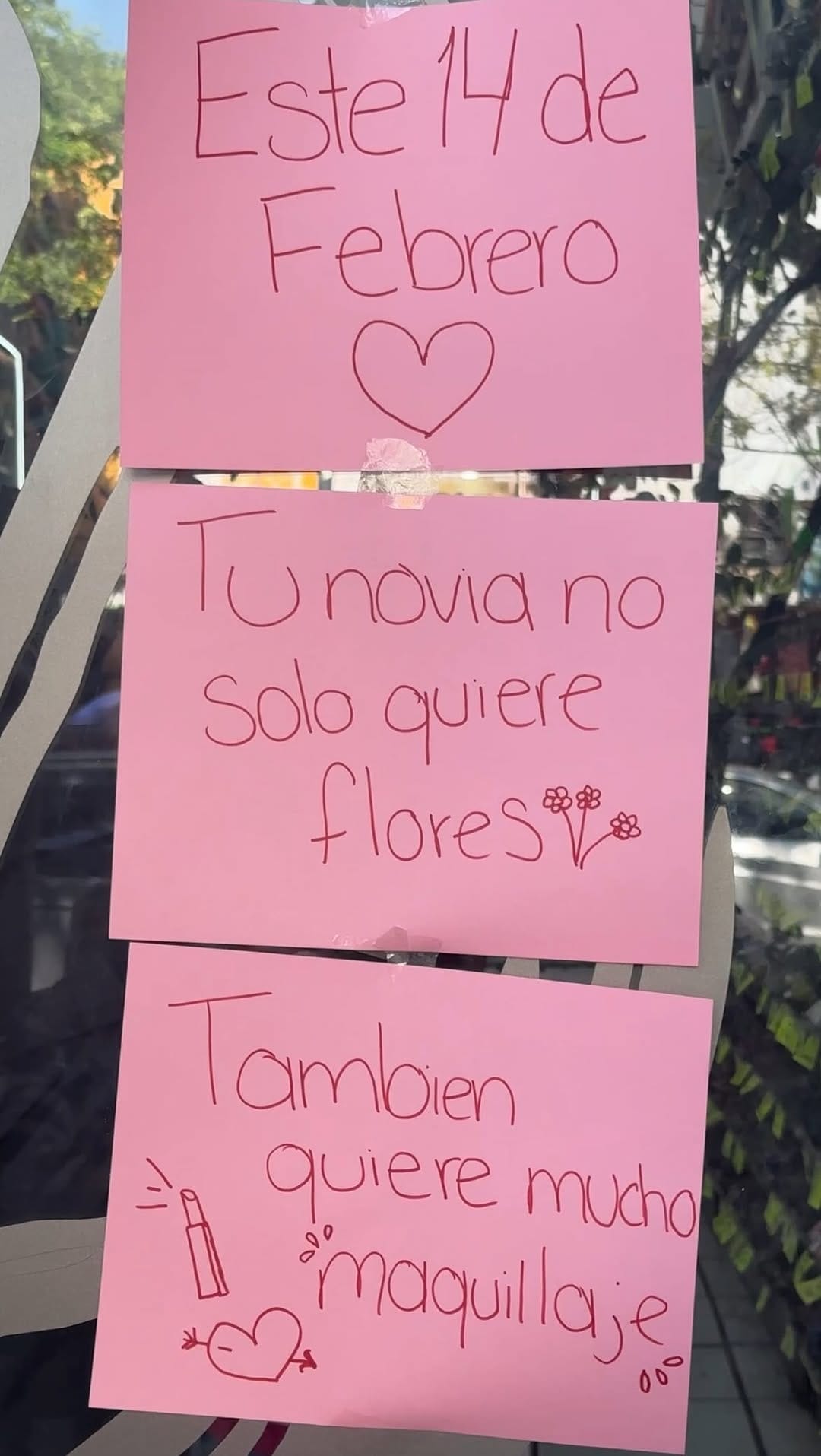 Post 1 by R͙O͙S͙A͙ D͙E͙ L͙I͙M͙A͙ ♡ on Instagram (video)