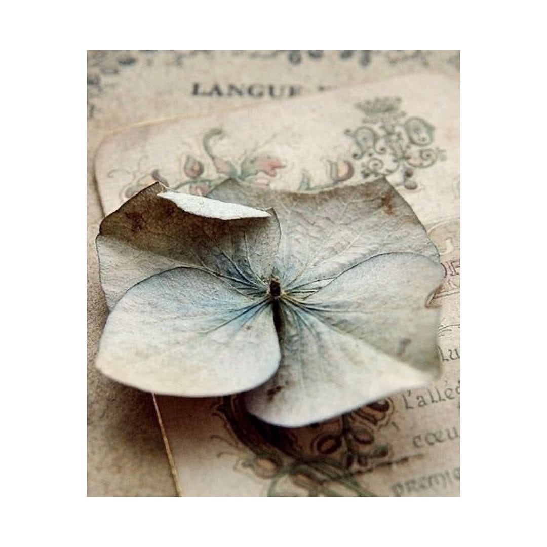 Post 8 by Sullaluna on Instagram (image)