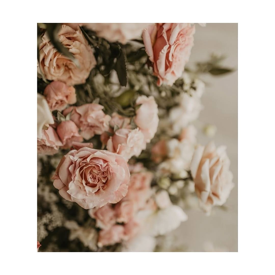 Post 4 by Sullaluna on Instagram (image)