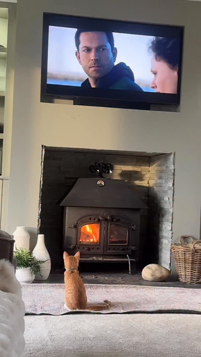 Post 1 by Eilidh - Croft House Extension on Instagram (video)