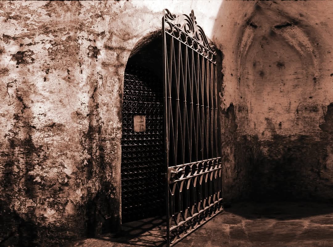 Post 6 by Antica Fratta Franciacorta on Instagram (image)