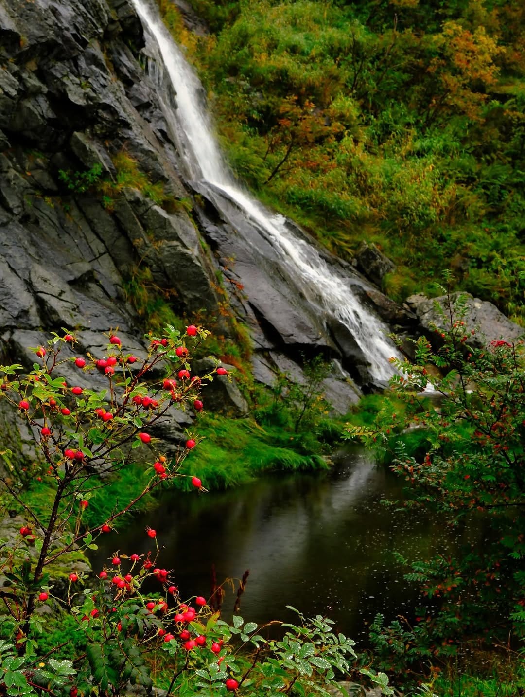 Post 2 by Mark Campbell on Instagram (image)