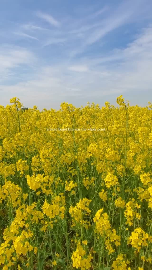 Post 10 by Michelle Graune on Instagram (video)