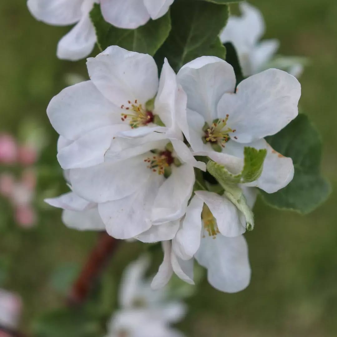 Post 3 by Drew & Becky Goodridge on Instagram (image)