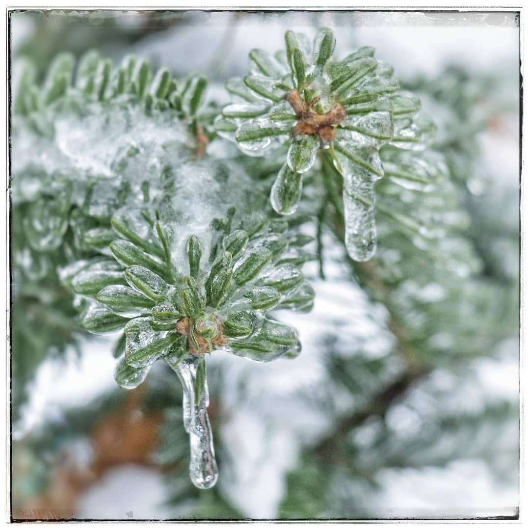 Post 9 by Drew & Becky Goodridge on Instagram (image)