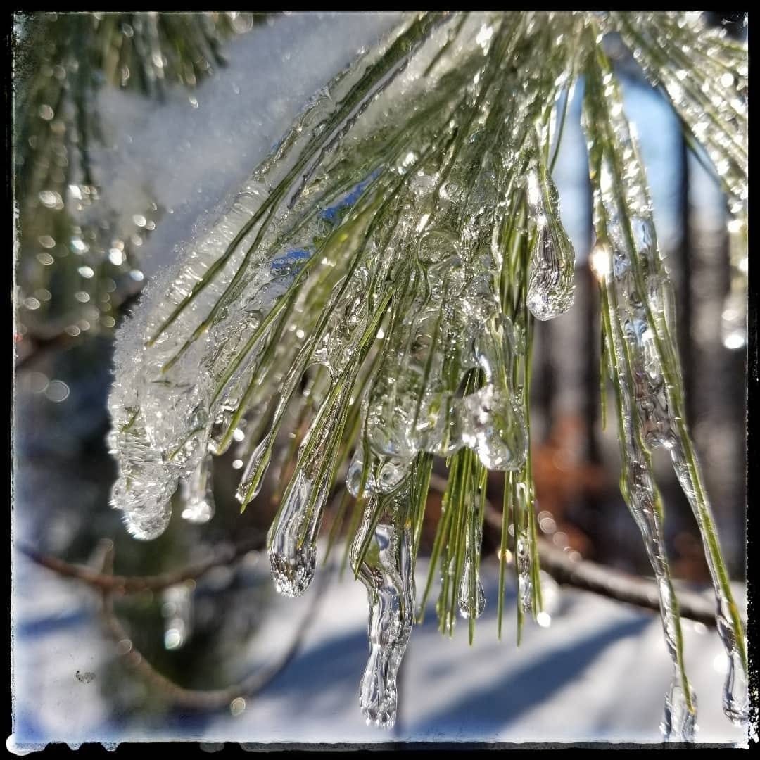 Post 8 by Drew & Becky Goodridge on Instagram (image)