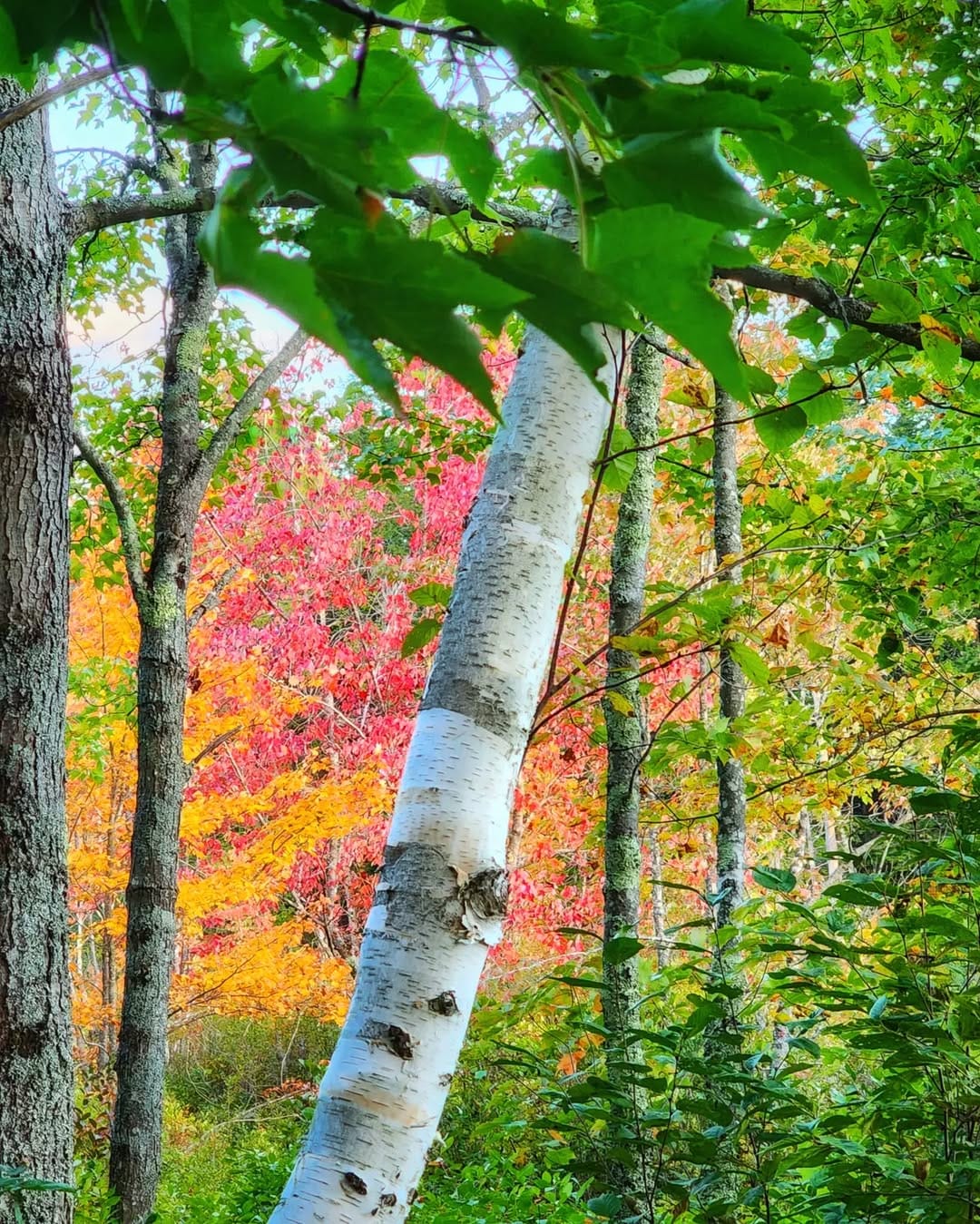Post 1 by Drew & Becky Goodridge on Instagram (image)