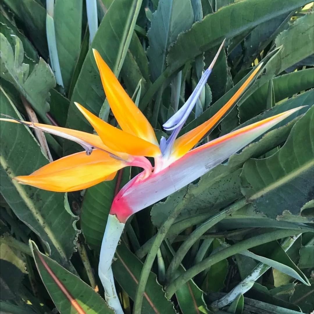 Post 8 by 🌺 Beauty Bitch on Instagram (image)