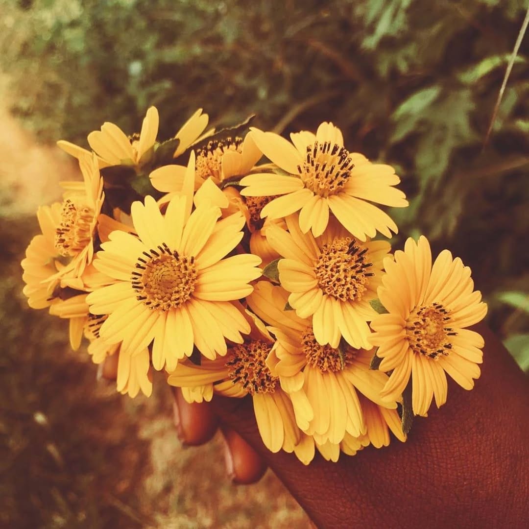 Post 3 by 🌺 Beauty Bitch on Instagram (image)